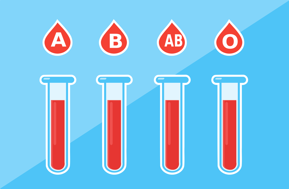 Aya 4 golongan darah - A, B, AB, O